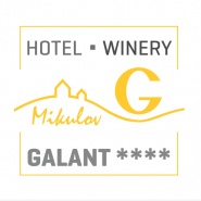 Hotel Galant